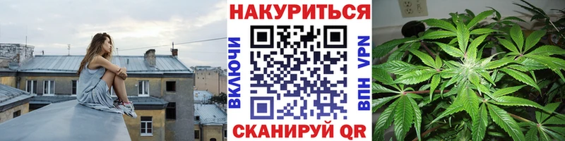 Купить где  Зуевка  Шишки марихуана ГИДРОПОН 